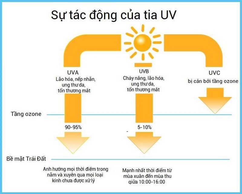 tác động của tia UV